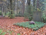 落ち葉の埋葬地