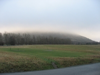 霧に包まれたハルツ山地